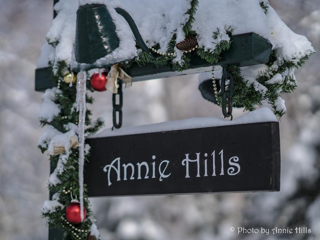 Annie Hills Bed & Breakfast Tateshina  Exterior photo